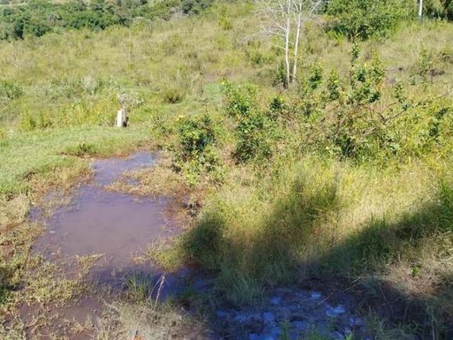 Sítio e chácara venda em Região Imediata de Ribeirão Preto, Região Metropolitana de Ribeirão Preto