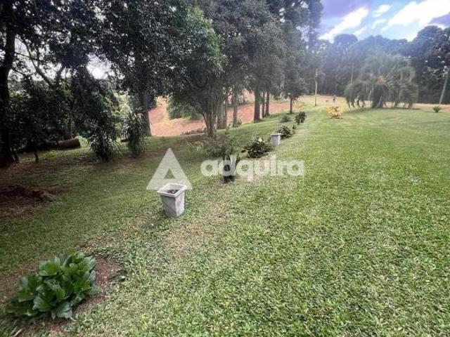 Sítio e chácara venda em Loteamento Excede, Castro