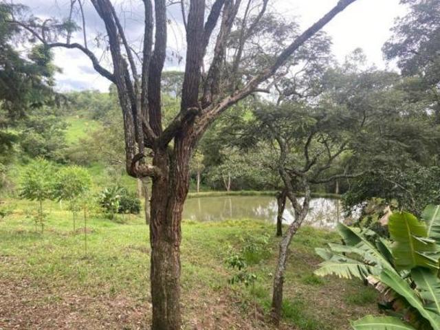 Sítio e chácara venda em São Lucas, Entre Rios de Minas