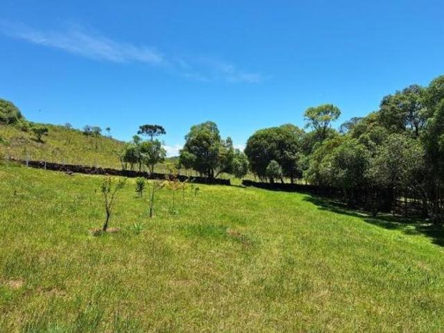 Sítio e chácara venda em Região Geográfica Imediata de Caxias do Sul, Caxias do Sul