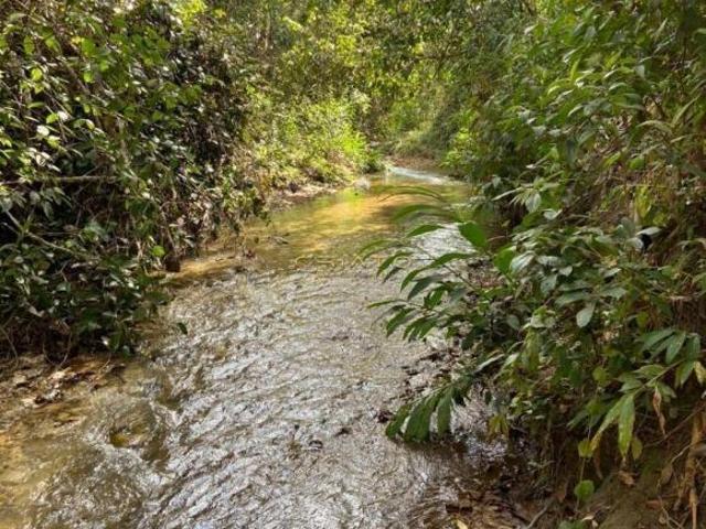 Sítio e chácara venda em Região Geográfica Imediata de Anápolis, Região Integrada de Desenvolvimento do Distrito Federal e Entorno
