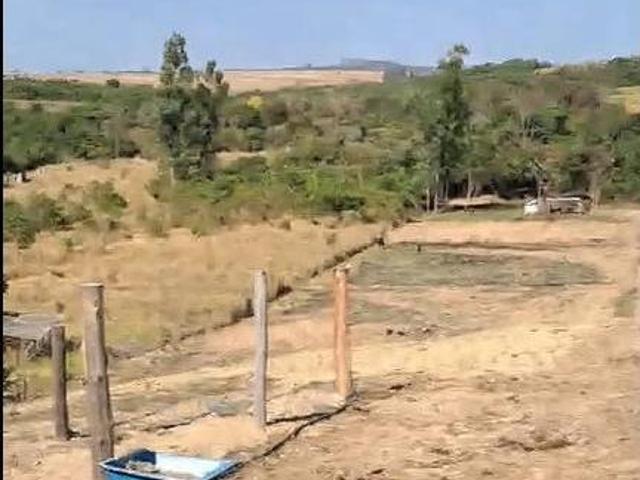 Sítio e chácara venda em Região Geográfica Imediata de Anápolis, Região Integrada de Desenvolvimento do Distrito Federal e Entorno