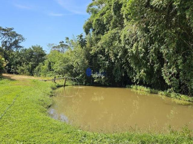 Sítio e chácara venda em Região Geográfica Imediata de Anápolis, Região Integrada de Desenvolvimento do Distrito Federal e Entorno