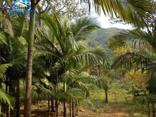 Sítio e chácara venda em Região Geográfica Imediata de Curitiba, Região Metropolitana de Curitiba
