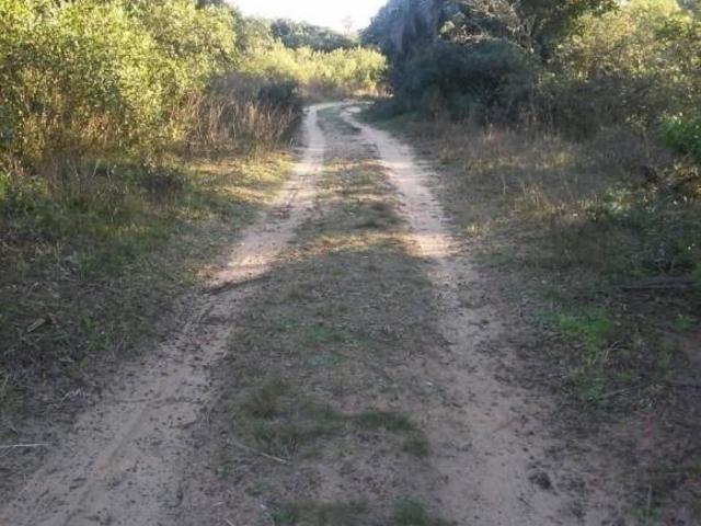 Sítio e chácara venda em Região Geográfica Imediata de Porto Alegre, Região Metropolitana de Porto Alegre