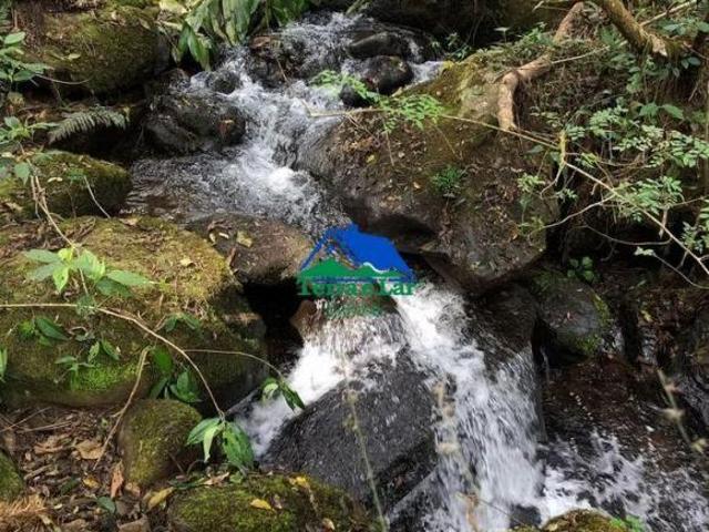 Sítio e chácara venda em Região Geográfica Imediata de Caxambu - Baependi, Aiuruoca
