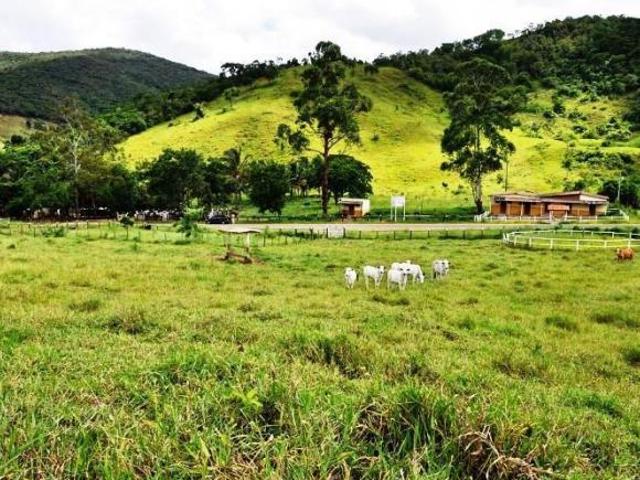 Sítio e chácara venda em Almenara, Região Sudeste