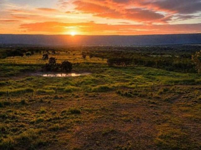 Sítio e chácara venda em Região Geográfica Imediata de Cuiabá, Região Metropolitana do Vale do Rio Cuiabá