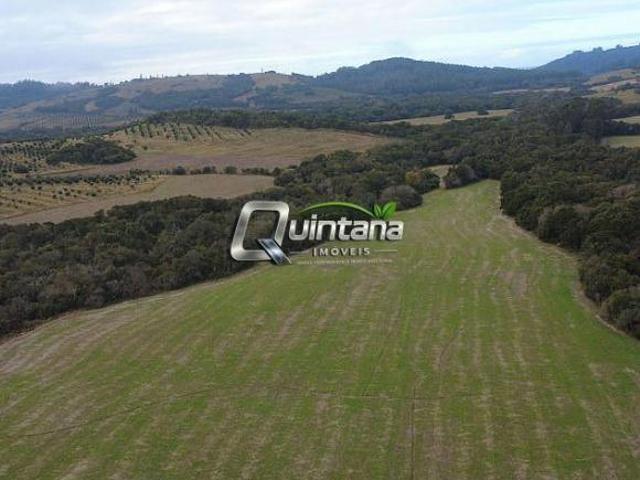 Sítio e chácara venda em Região Geográfica Imediata de Camaquã, Amaral Ferrador