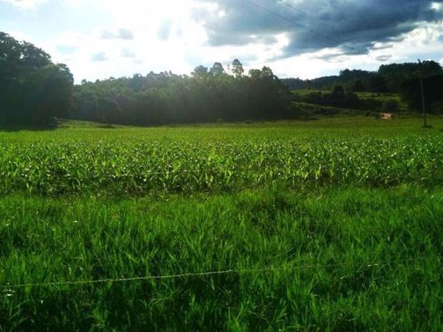 Sítio e chácara venda em Região Geográfica Imediata de Juiz de Fora, Andrelândia