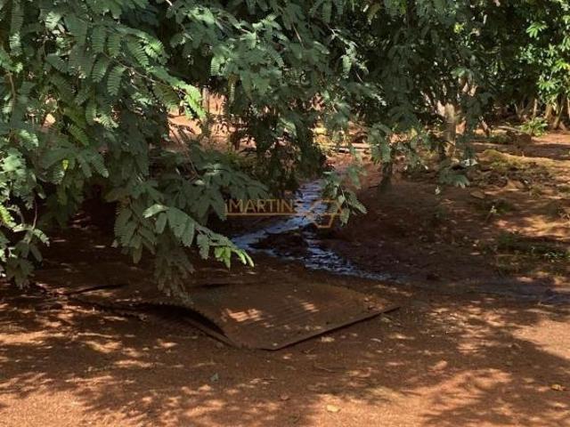 Sítio e chácara venda em Centro, Araguari