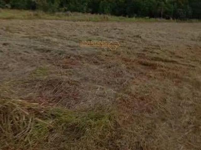 Sítio e chácara venda em Centro, Araguari