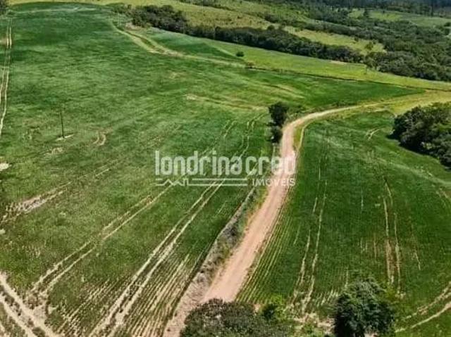 Sítio e chácara venda em Região Geográfica Imediata de Ponta Grossa, Arapoti