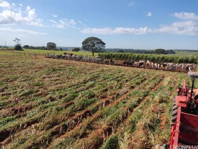 Sítio e chácara venda em Região Geográfica Imediata de Araxá, Araxá