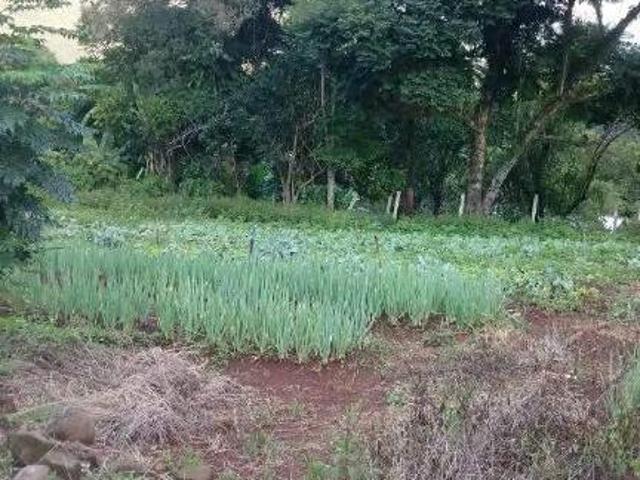 Sítio e chácara venda em Região Geográfica Imediata de Caxias do Sul, São Marcos