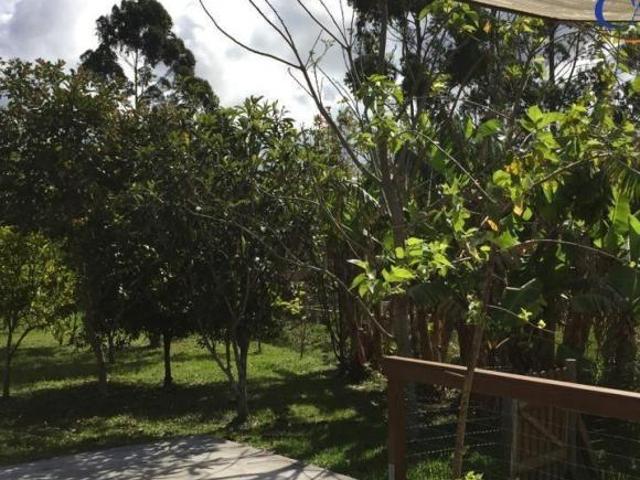 Sítio e chácara venda em Região Geográfica Imediata de Torres, Aglomeração Urbana do Litoral Norte