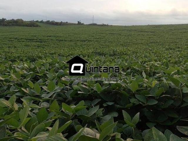 Sítio e chácara venda em Região Geográfica Imediata de Pelotas, Arroio Grande