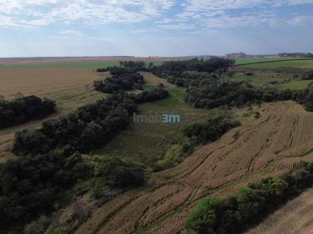Sítio e chácara venda em Assaí, Região Geográfica Intermediária de Londrina