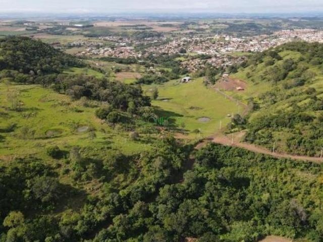 Sítio e chácara venda em Região Geográfica Imediata de Londrina, Assaí