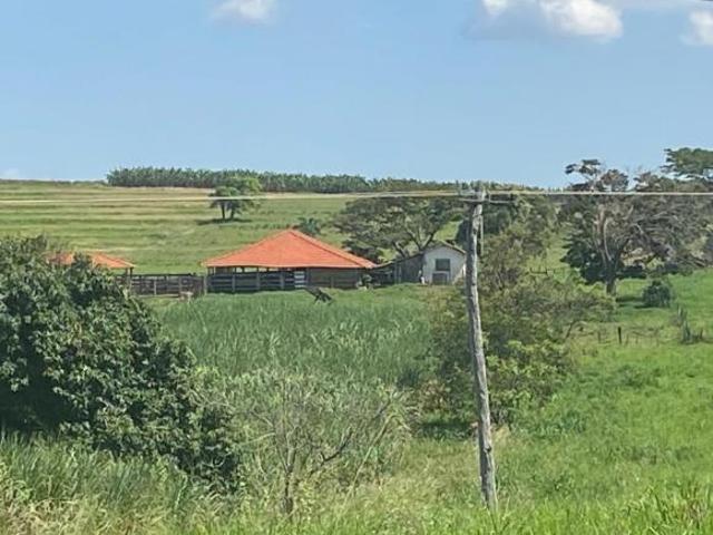 Sítio e chácara venda em Região Imediata de Araçatuba, Auriflama