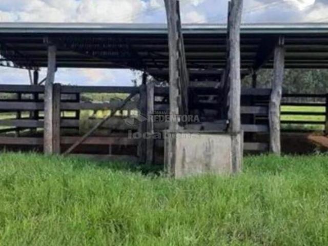 Sítio e chácara venda em Região Imediata de São José do Rio Preto, Região Metropolitana de São José do Rio Preto