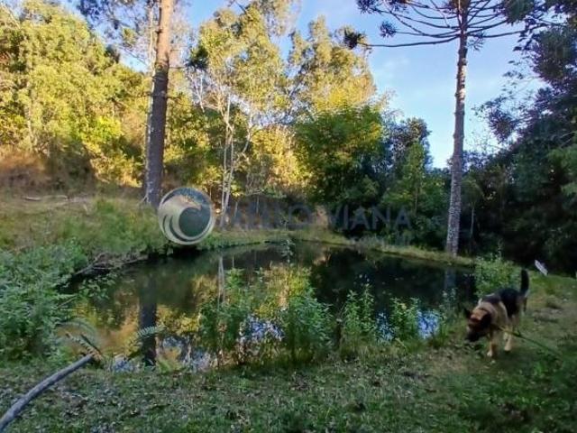 Sítio e chácara venda em Região Geográfica Imediata de Caxambu - Baependi, Baependi