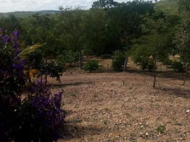 Sítio e chácara venda em Dores de Guanhães, Região Geográfica Intermediária de Governador Valadares
