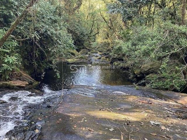 Sítio e chácara venda em Região Imediata de Cruzeiro, Região Metropolitana do Vale do Paraíba e Litoral Norte