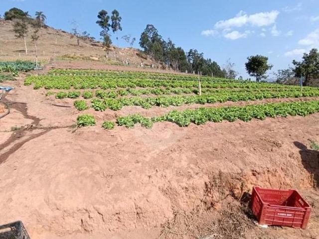 Sítio e chácara venda em Região Geográfica Imediata de Poços de Caldas, Bandeira do Sul