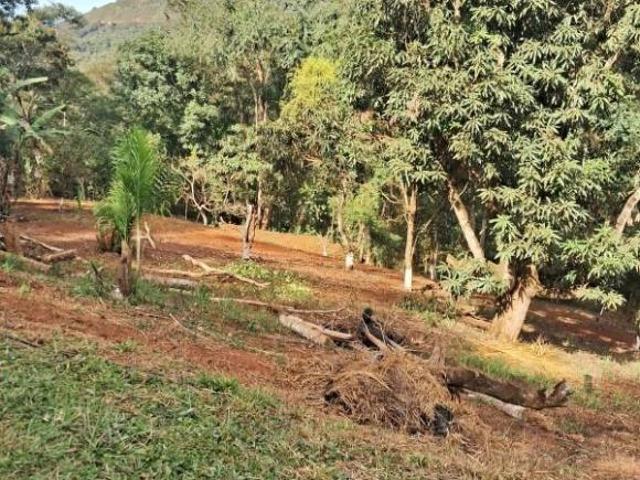Sítio e chácara venda em Região Geográfica Imediata de Santa Bárbara - Ouro Preto, Barão de Cocais