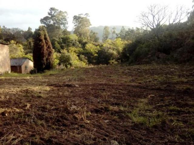 Sítio e chácara venda em Região Geográfica Imediata de Porto Alegre, Barão do Triunfo
