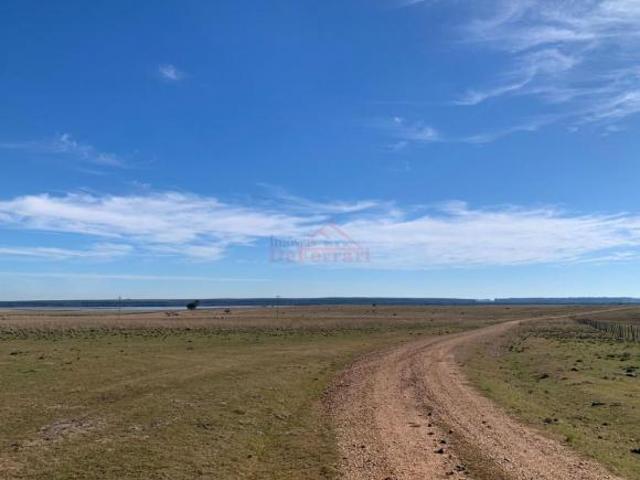 Sítio e chácara venda em Região Geográfica Imediata de Uruguaiana, Barra do Quaraí