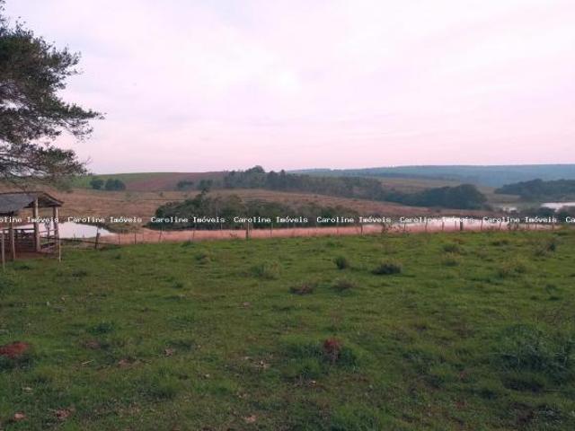 Sítio e chácara venda em Região Geográfica Imediata de Porto Alegre, Barra do Ribeiro