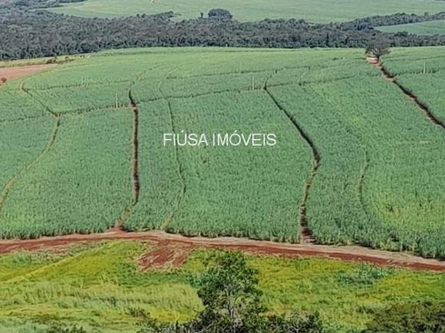 Sítio e chácara venda em Região Imediata de Ribeirão Preto, Região Metropolitana de Ribeirão Preto