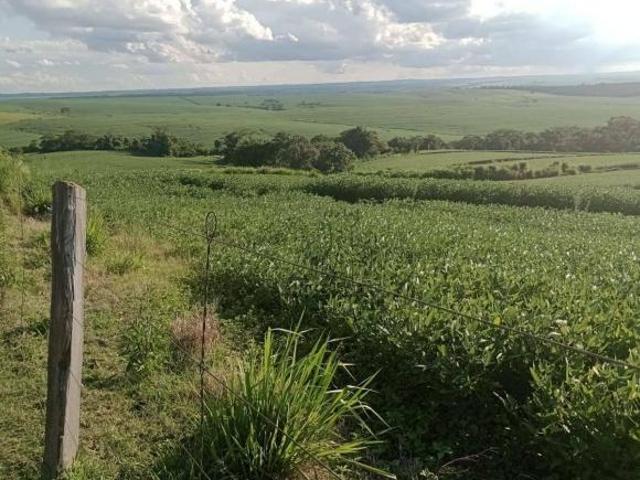 Sítio e chácara venda em Região Geográfica Imediata de Londrina, Bela Vista do Paraíso