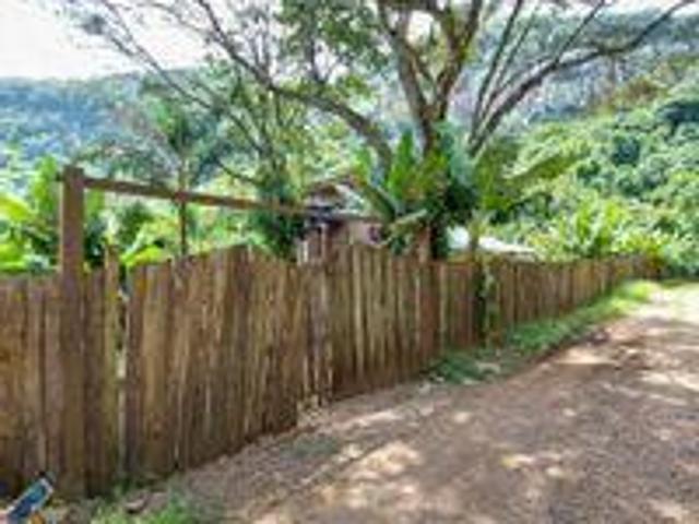 Sítio e chácara venda em Região Geográfica Imediata de Bento Gonçalves, Bento Gonçalves