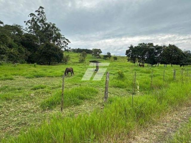 Sítio e chácara venda em Região Geográfica Imediata de Cascavel, Boa Vista da Aparecida