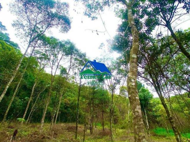 Sítio e chácara venda em Região Geográfica Imediata de Juiz de Fora, Bom Jardim de Minas