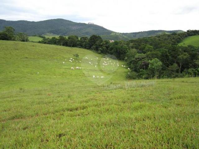 Sítio e chácara venda em Região Imediata de Bragança Paulista, Nazaré Paulista