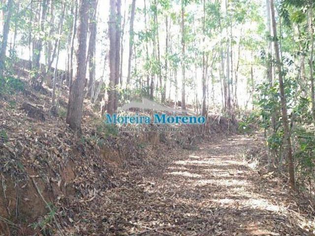 Sítio e chácara venda em Borda da Mata, Região Geográfica Intermediária de Pouso Alegre