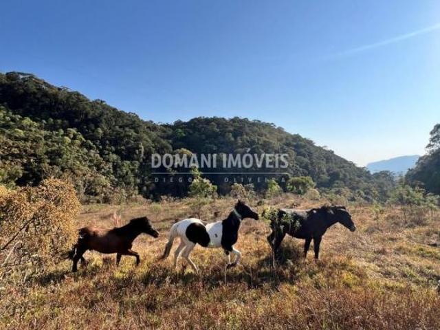 Sítio e chácara venda em Região Geográfica Imediata de Itajubá, Região Sudeste