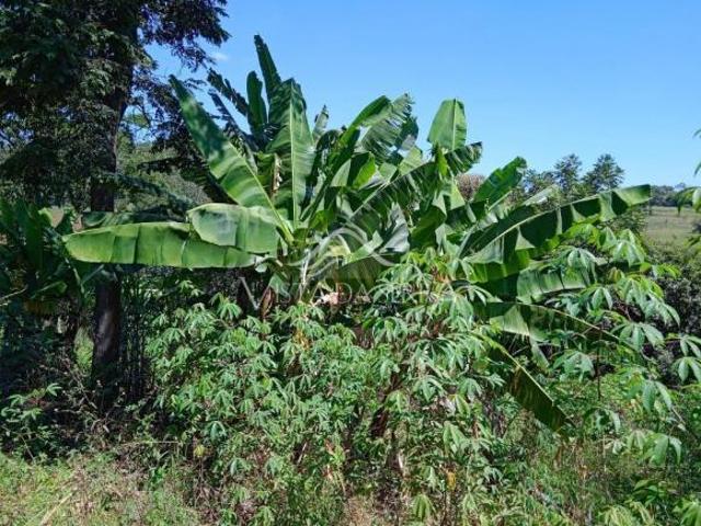 Sítio e chácara venda em Região Geográfica Imediata de Oliveira, Bonfim