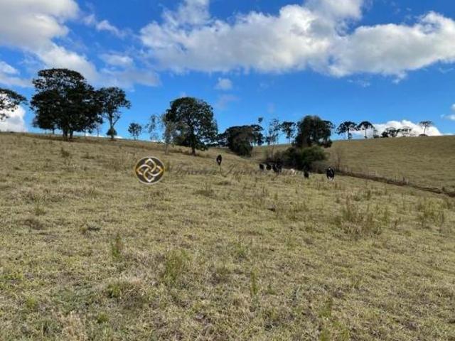 Sítio e chácara venda em Região Geográfica Imediata de Pouso Alegre, Bueno Brandão