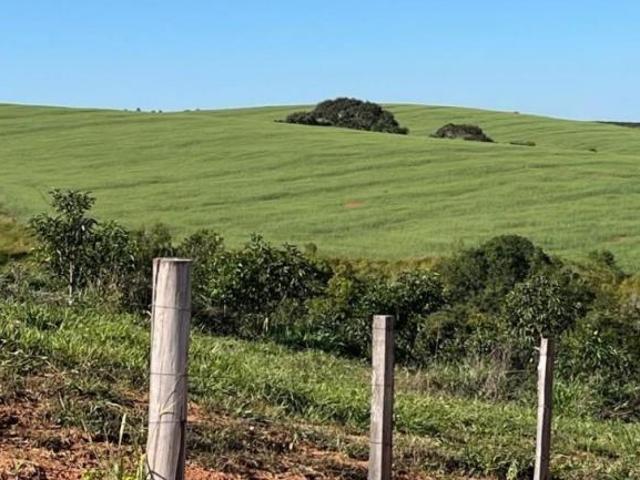 Sítio e chácara venda em Cabo Verde, Região Geográfica Intermediária de Varginha