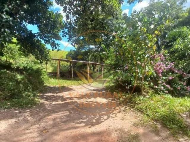 Sítio e chácara venda em Região Imediata de Cruzeiro, Região Metropolitana do Vale do Paraíba e Litoral Norte