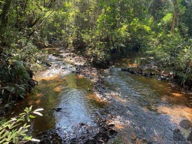 Sítio e chácara venda em Região Geográfica Imediata de Governador Valadares, Governador Valadares