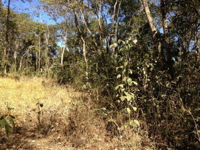 Sítio e chácara venda em Região Geográfica Imediata de Belo Horizonte, Região Metropolitana de Belo Horizonte