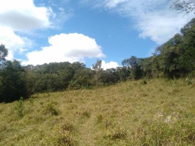 Sítio e chácara venda em Região Geográfica Imediata de Governador Valadares, Governador Valadares