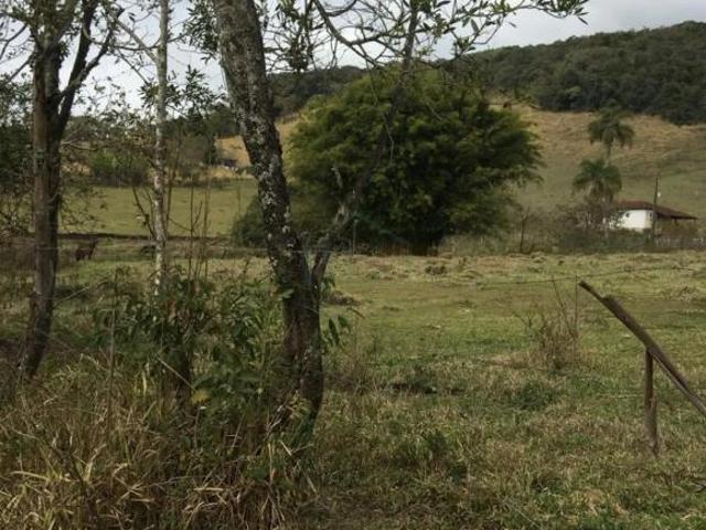 Sítio e chácara venda em Laranjeiras de Caldas, Caldas