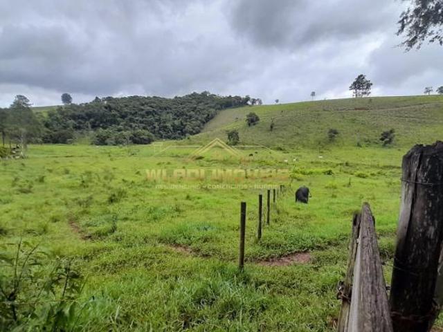 Sítio e chácara venda em Centro, Cambuí
